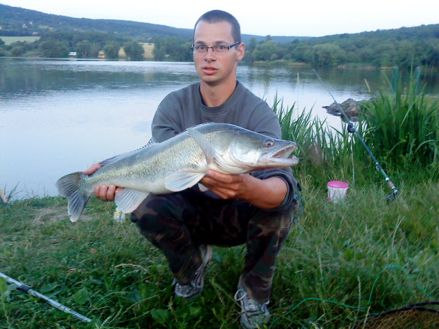 zubáč 76