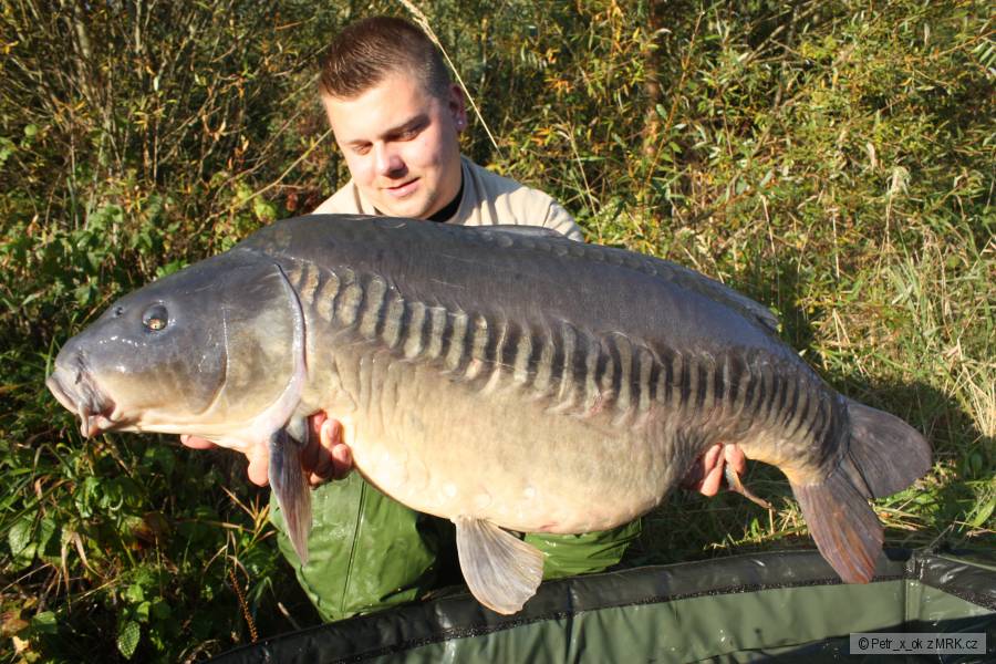 19,40 kg