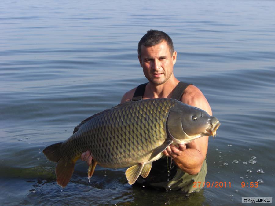 92cm 15kg
