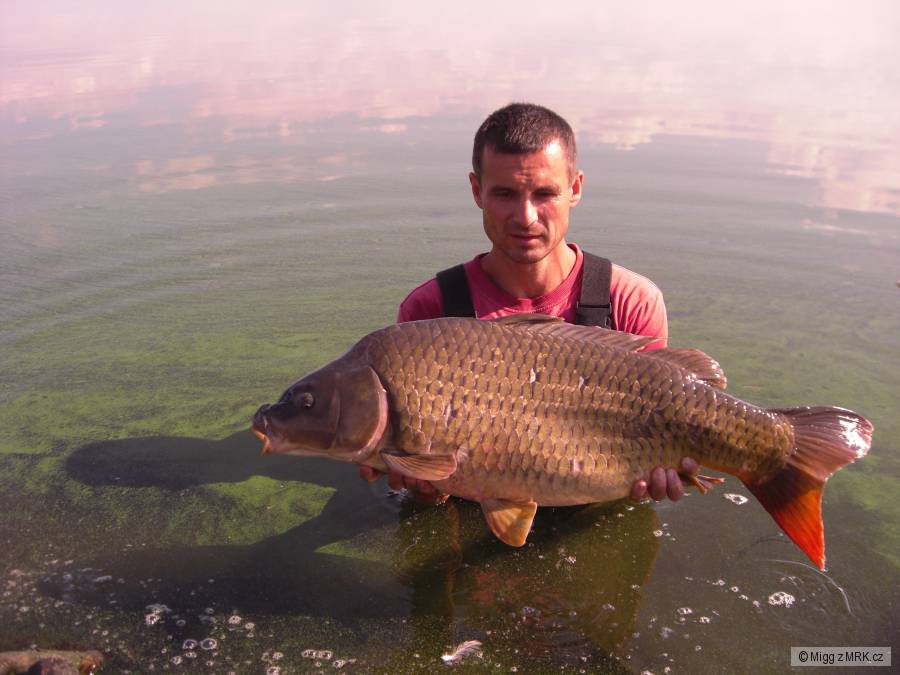 87cm 13,7kg