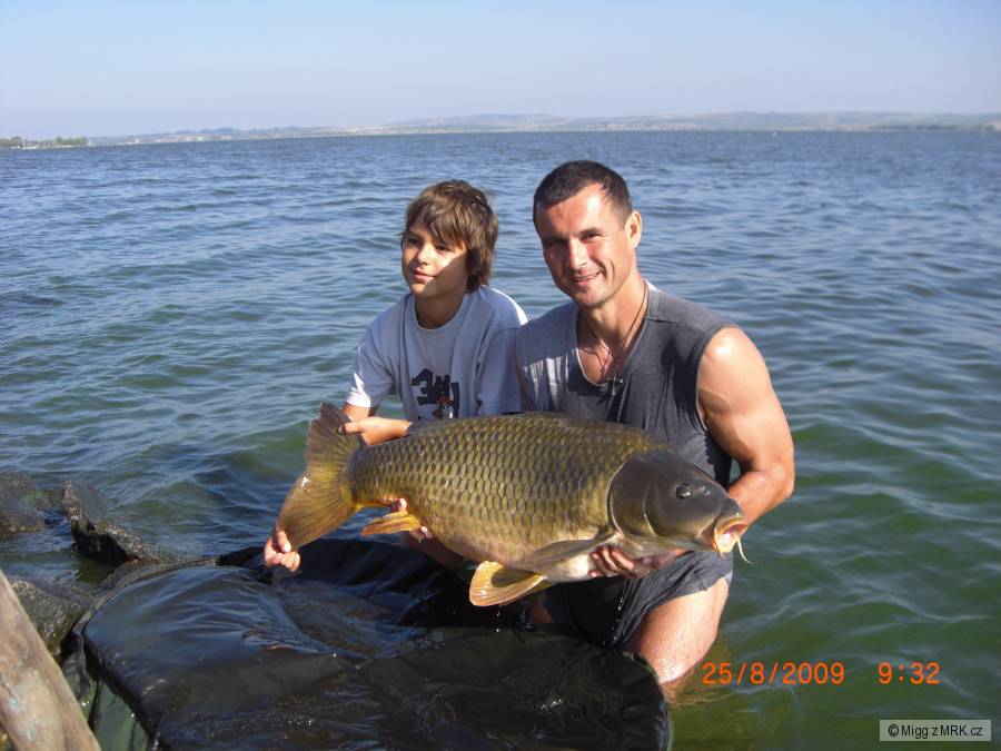 98cm 20kg