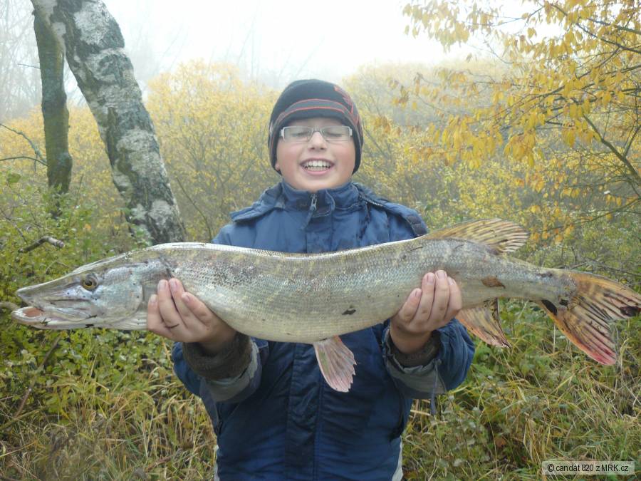 štička 103 cm
