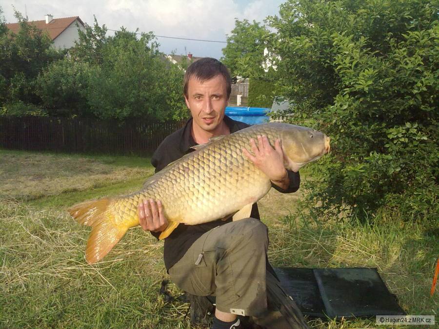 104cm 18.5kg