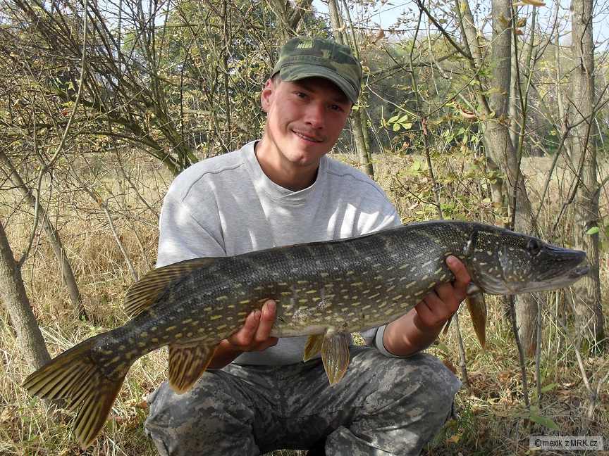 Štika 94cm