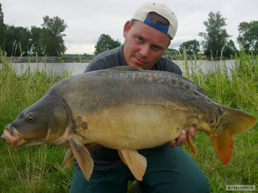 13 kg.