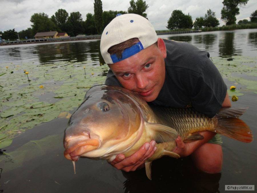 18,5 kg. 95 cm.