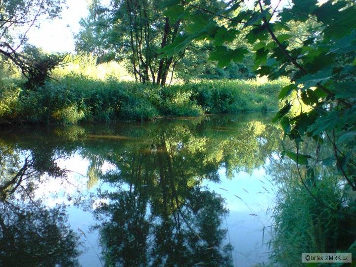 Nežárka