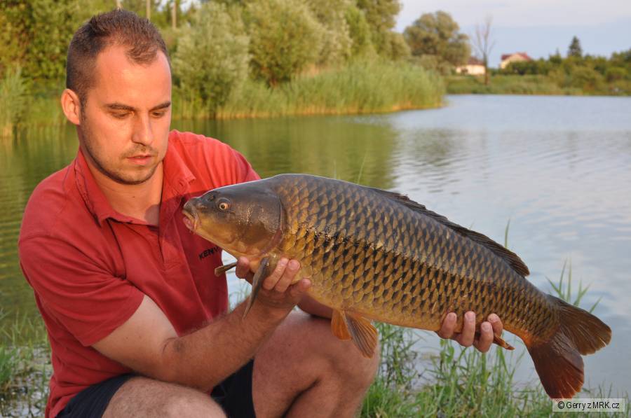 zväzovka 2011 89cm