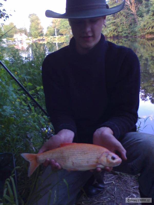 42cm, cca 1,3kg