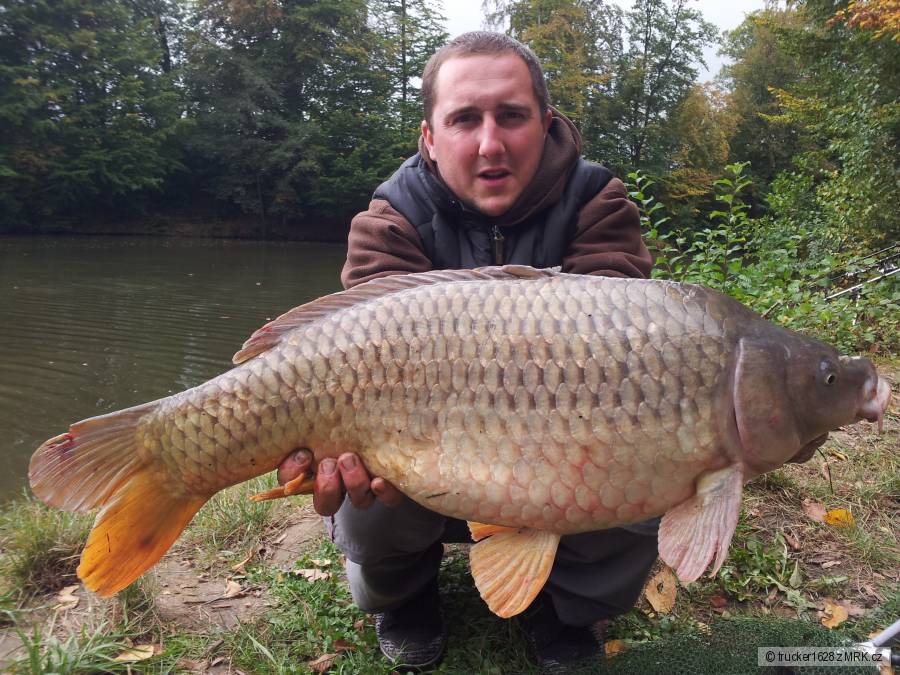 Kapr Leština www.my-fishing.cz