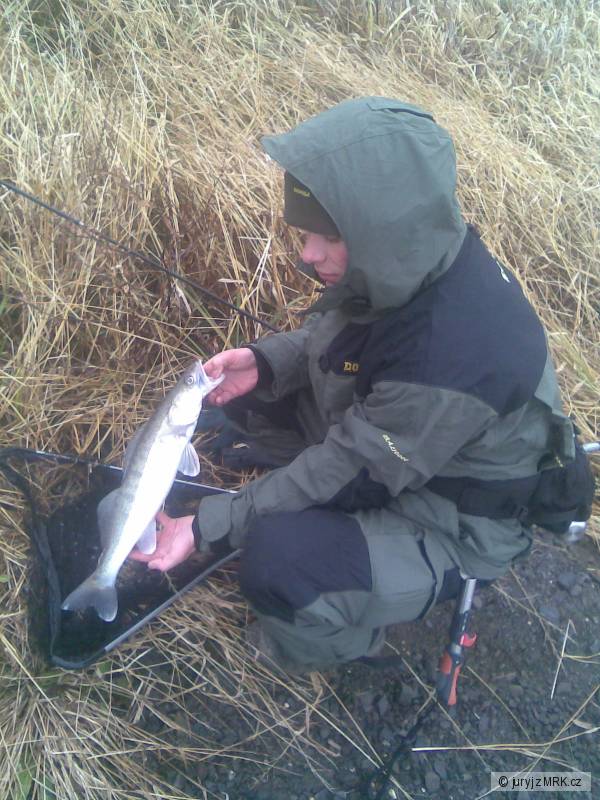 zander02