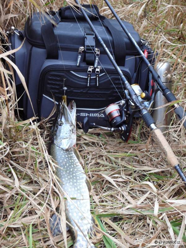 esox01