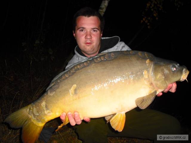 kapr 80cm 11kg
