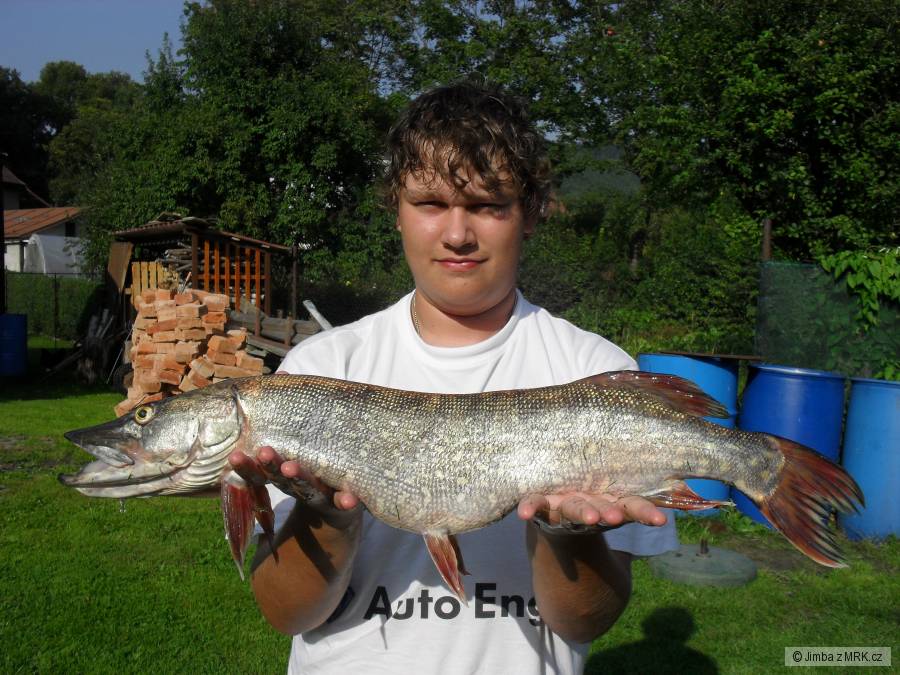 štička 70