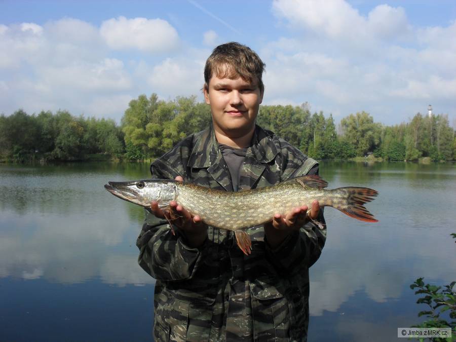 štika
