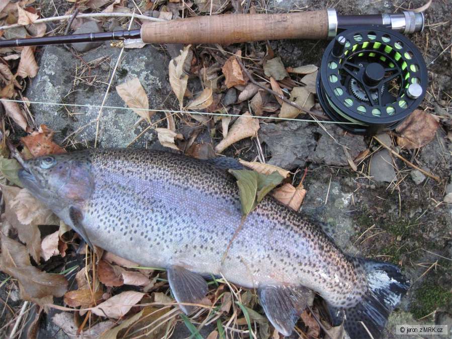 duhák 39cm