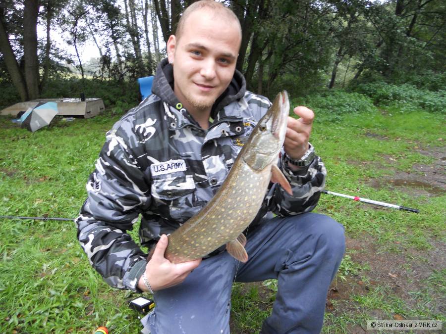 Štička 65 cm