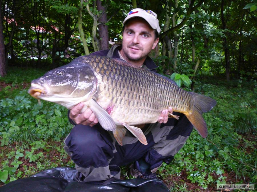 Dyje 15. 81cm 11,2kg na Lastii