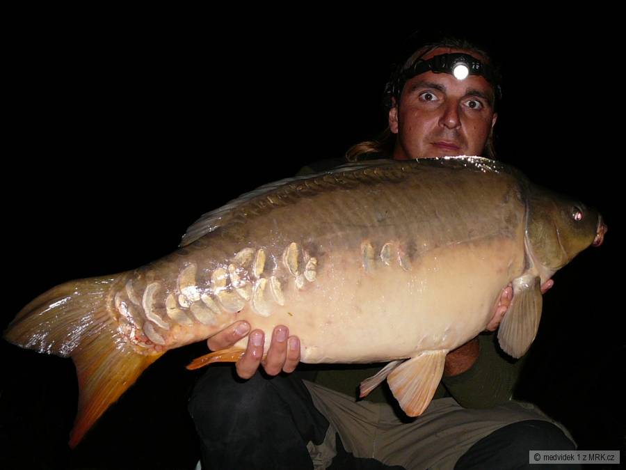 Dyje 15 86cm 12,5kg