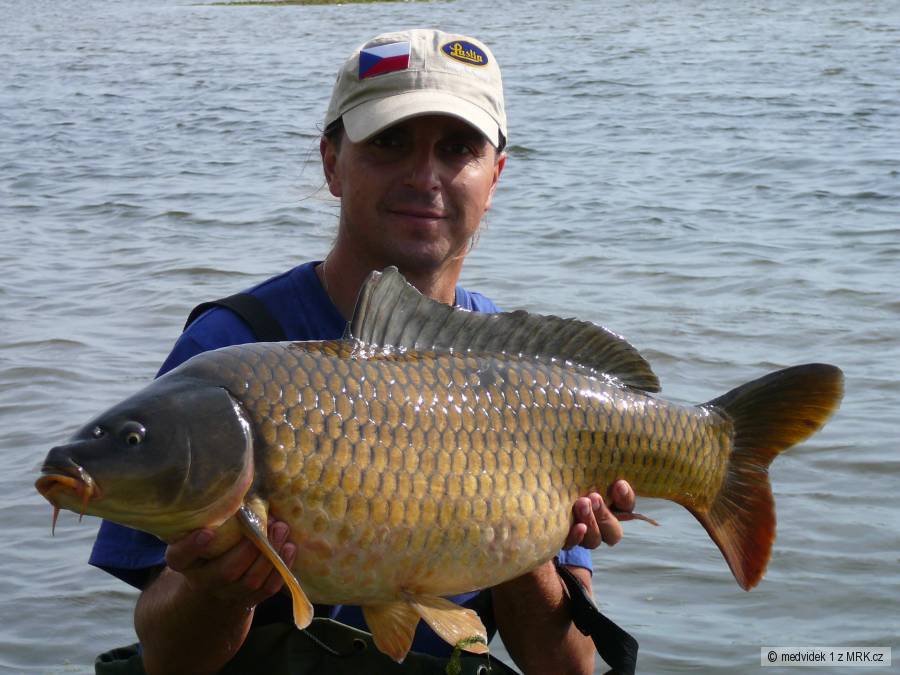 Dyje 7 kapr 83cm 10,5kg