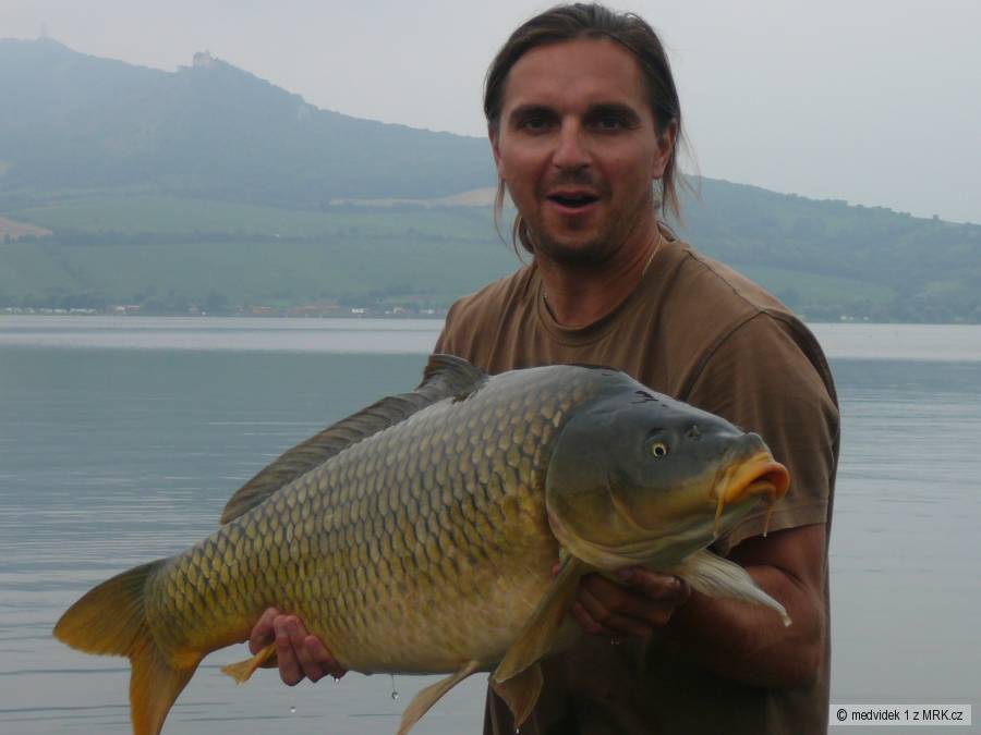 Dyje 5 89cm 13,1kg
