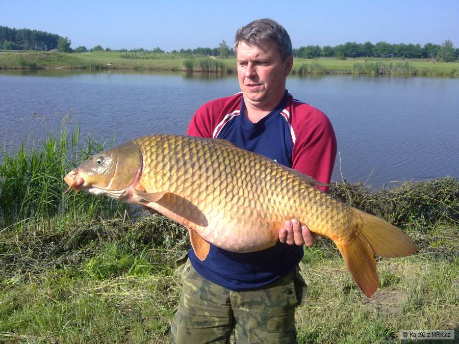 Kapor 94 cm 15,4 kg