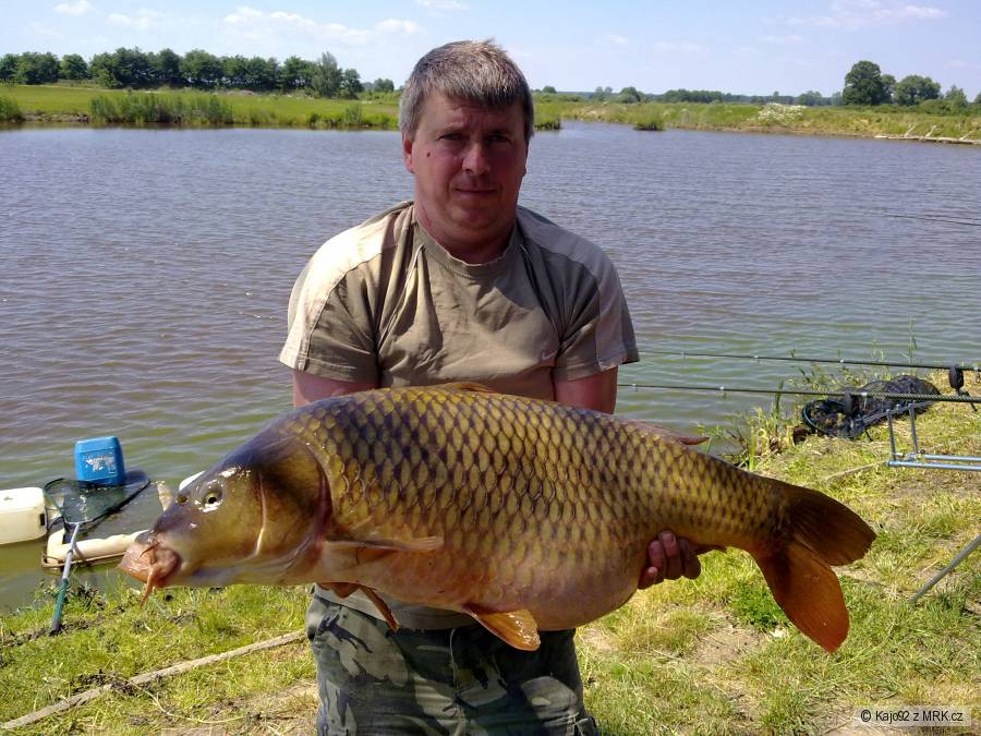 kapor 88 cm