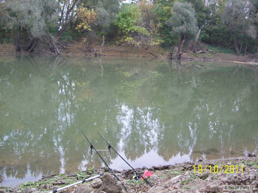 Bodrog 2011