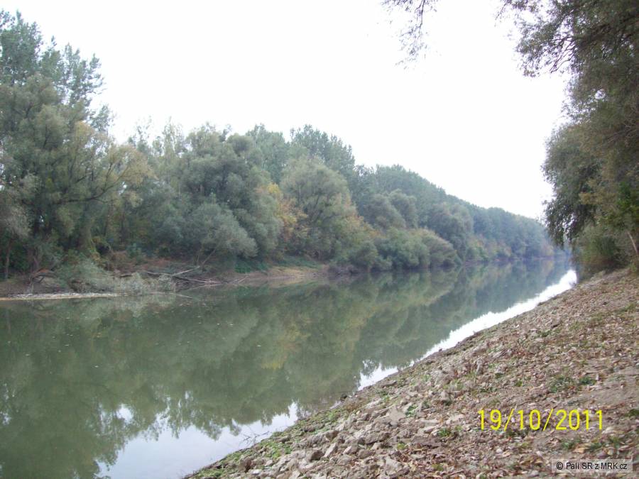Bodrog 2011