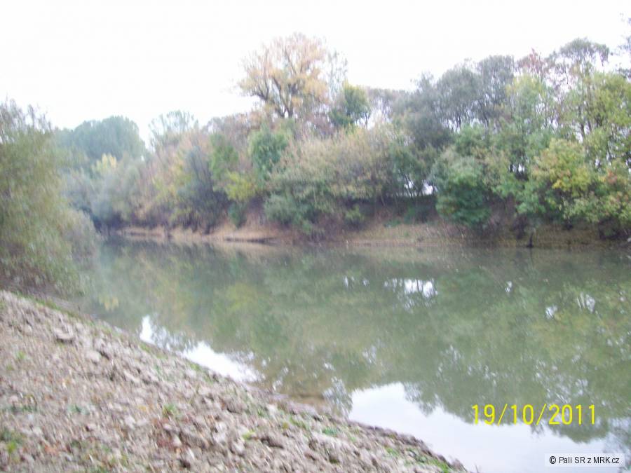 Bodrog 2011