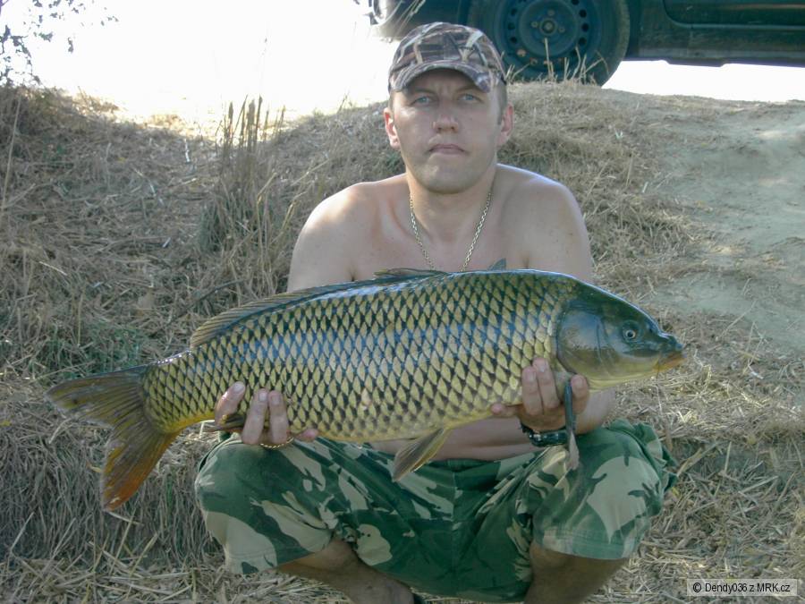 kaprik