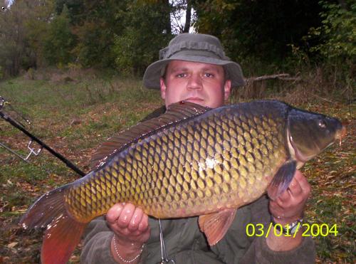 Labe 2004