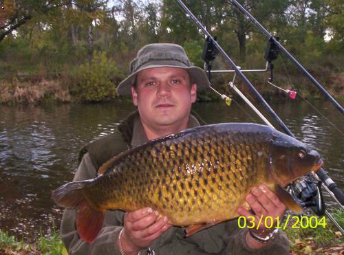 Labe 2004