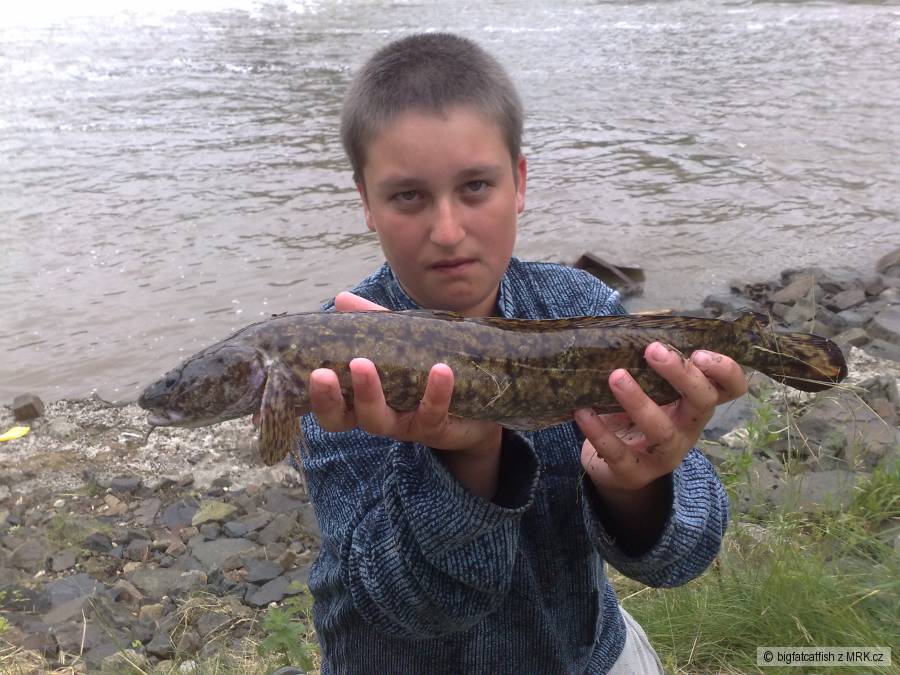 ja a mnik45cm