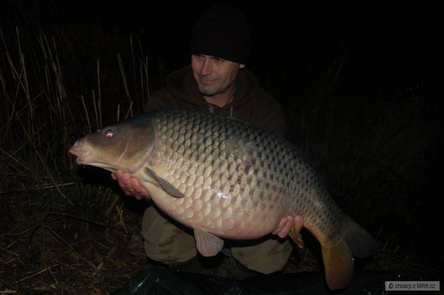 13 kg