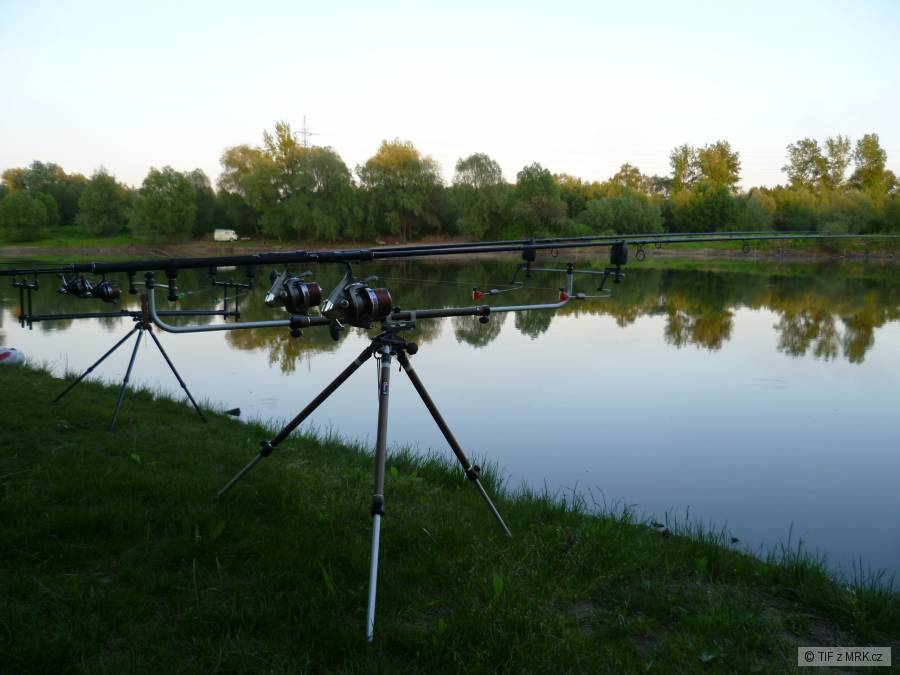 koblov 2011