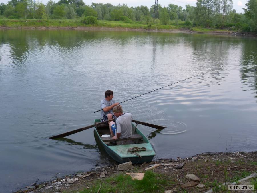 koblov 2011