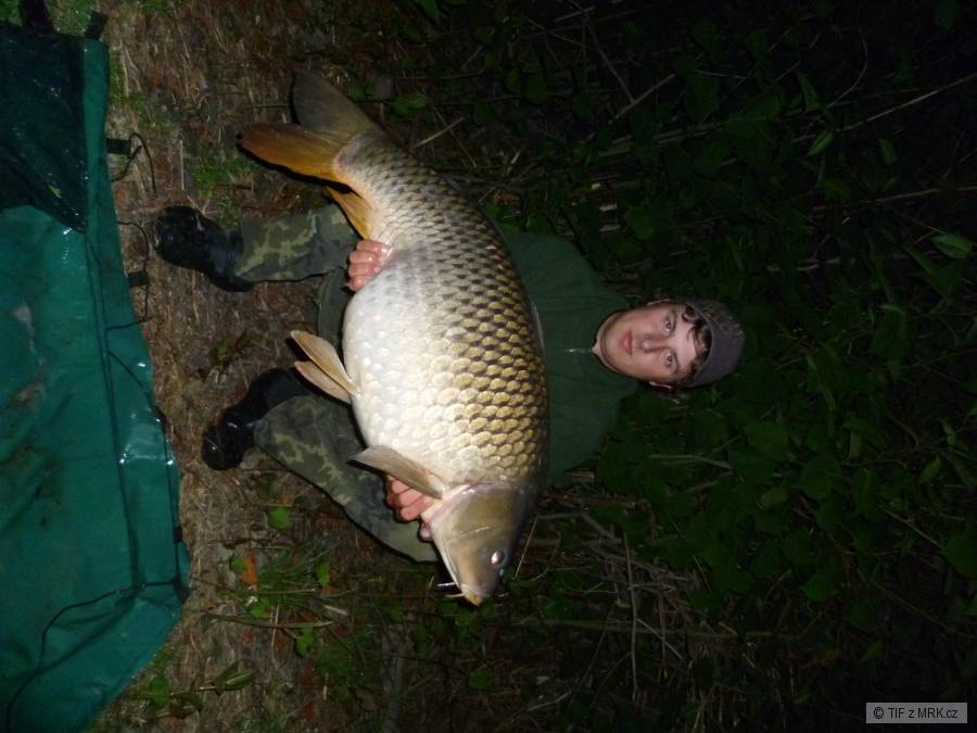 koblov 2011 kapr 19kg