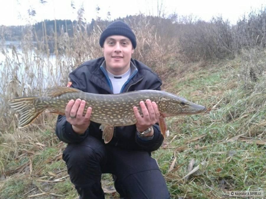 Štika 80cm - 5kg :)