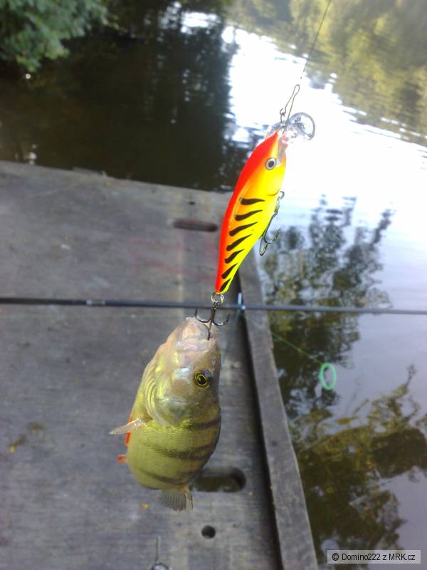 Ostrie� a wobler