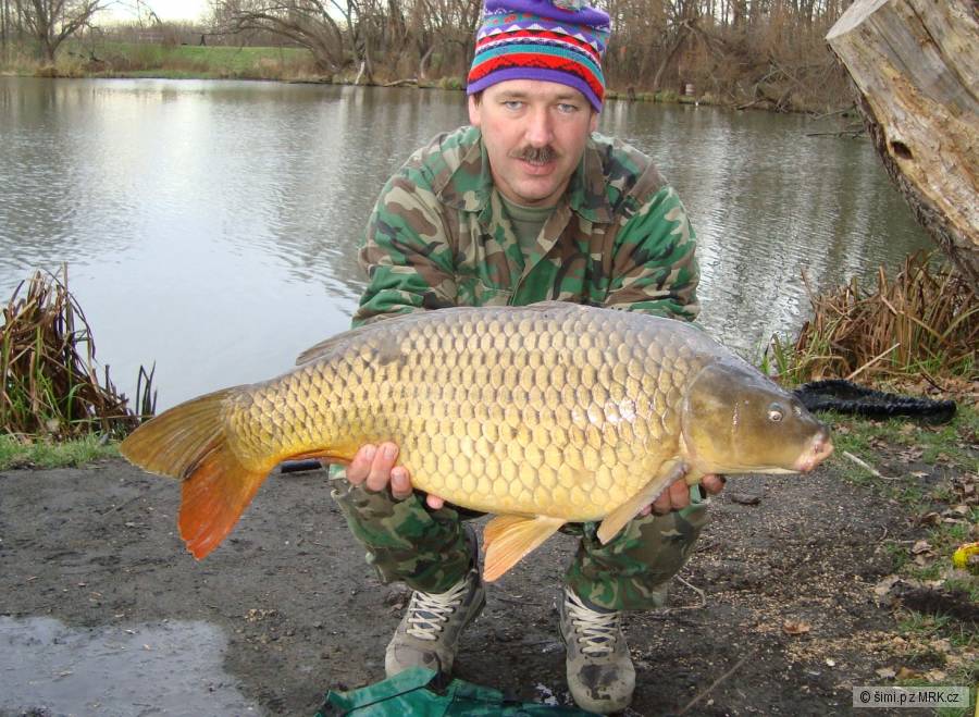Kapři