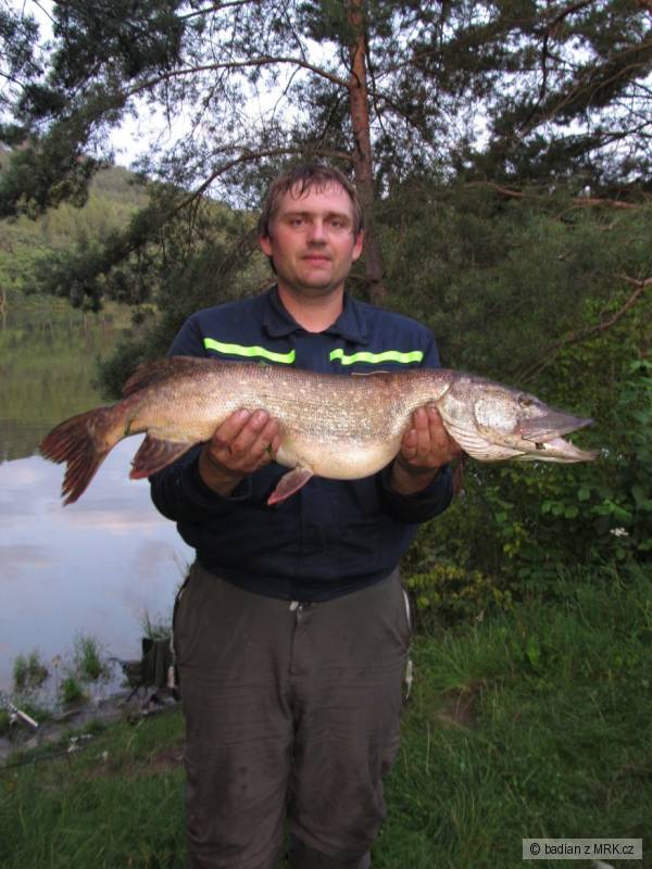 �tika 84 cm 4,60 kg