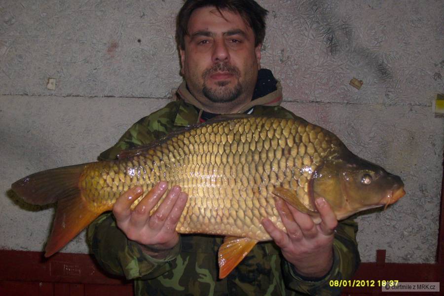 Lednový kapřík