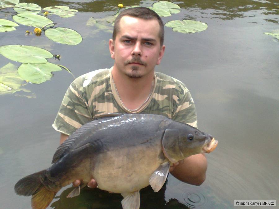 Návštěva na labi 2010
