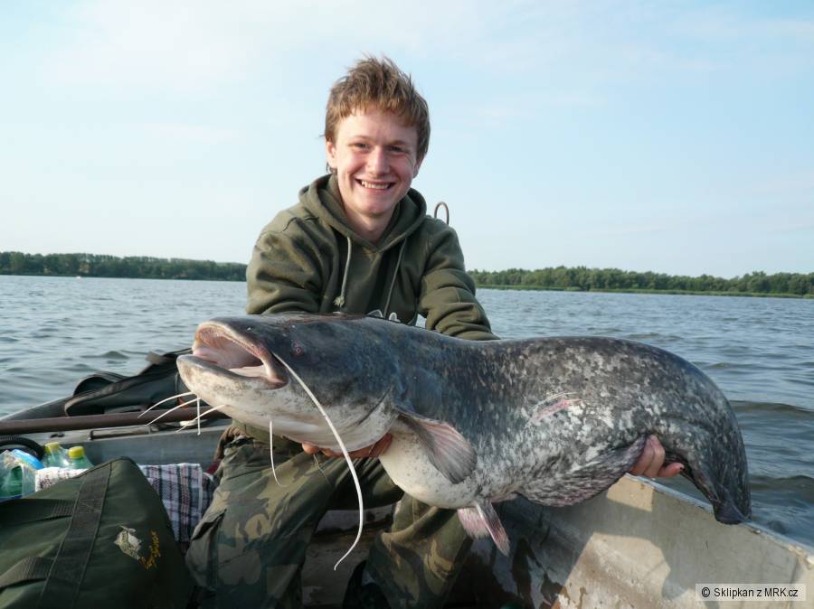 Sumec 115cm