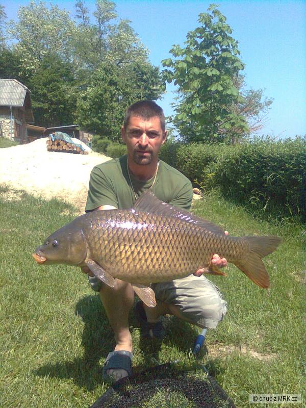 kapr 10kg