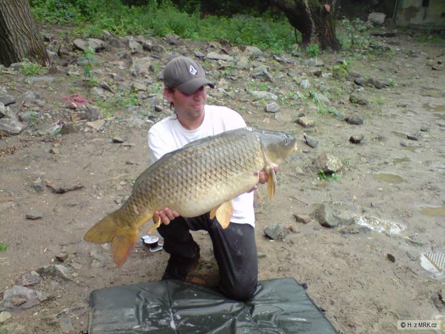 Kapr obecný 90 cm 12kg