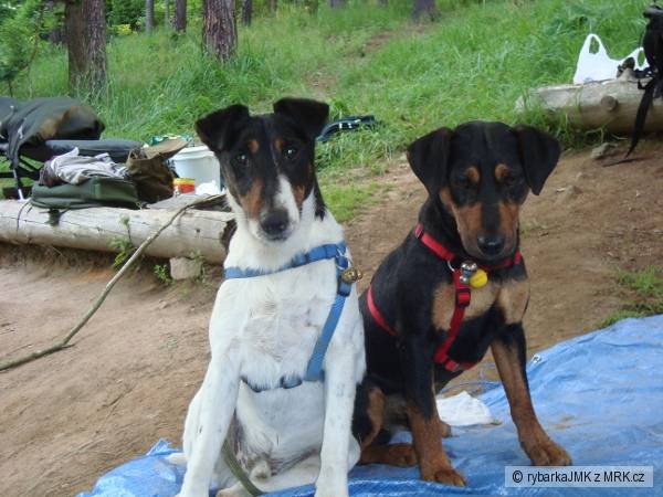 moji dva ryb���t� pomocn�ci:-)