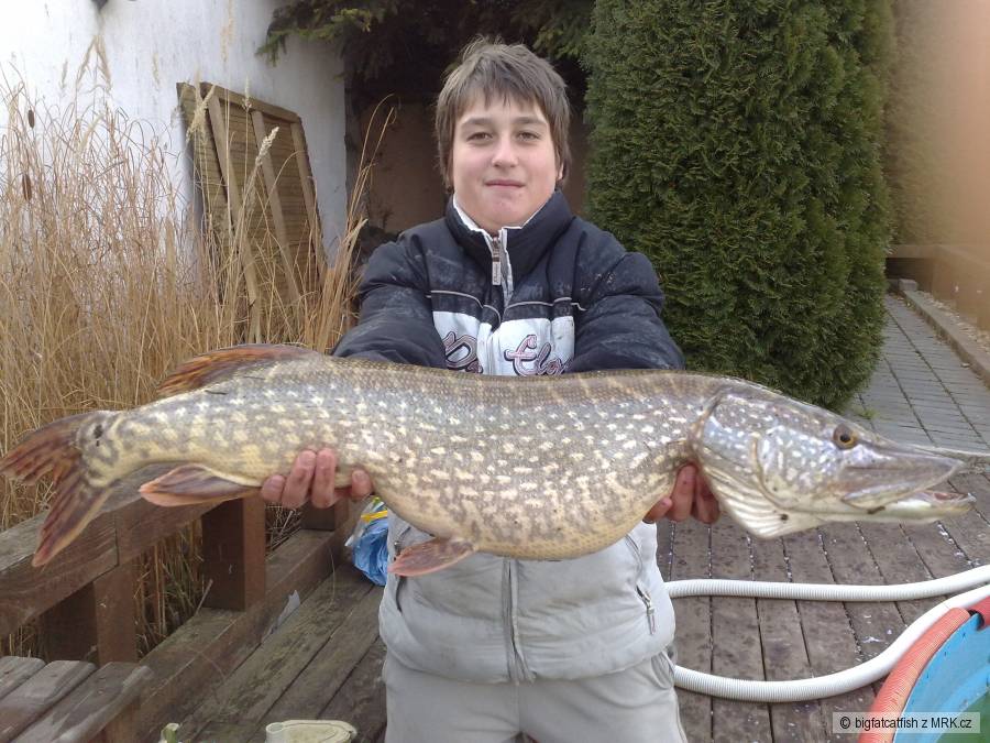 moja nejvetsi stika 87cm