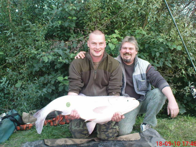 Tolstolobik 110 cm, 21,50 kg